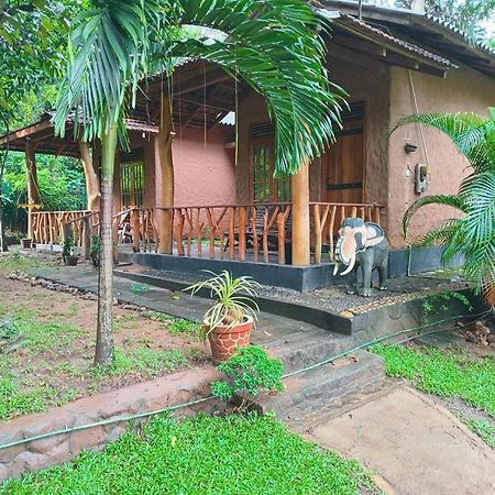 Green Park Safari House & Eco Tree House อุดาวาลาเว ภายนอก รูปภาพ