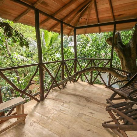 Green Park Safari House & Eco Tree House อุดาวาลาเว ภายนอก รูปภาพ