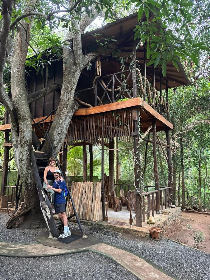 Green Park Safari House & Eco Tree House อุดาวาลาเว ภายนอก รูปภาพ