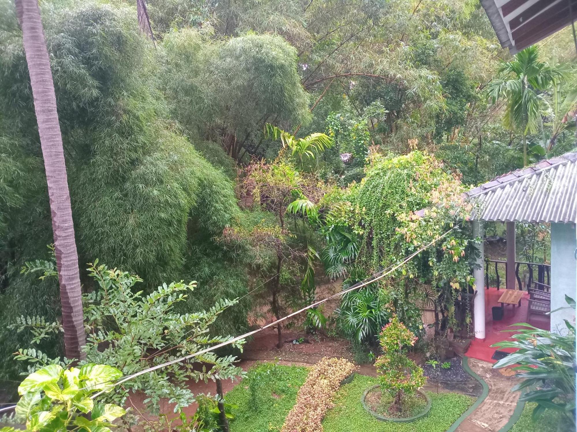 Green Park Safari House & Eco Tree House อุดาวาลาเว ภายนอก รูปภาพ