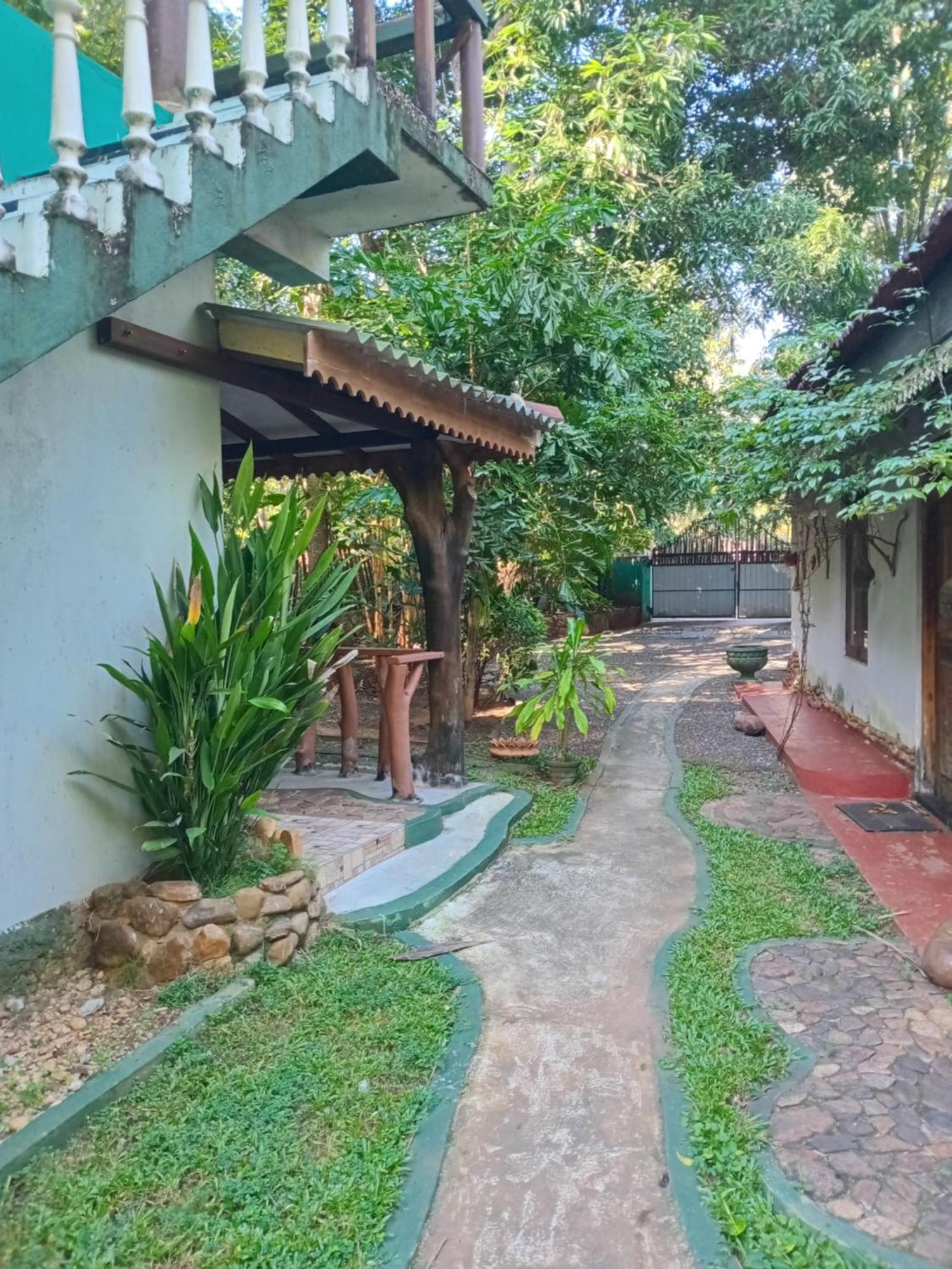 Green Park Safari House & Eco Tree House อุดาวาลาเว ภายนอก รูปภาพ