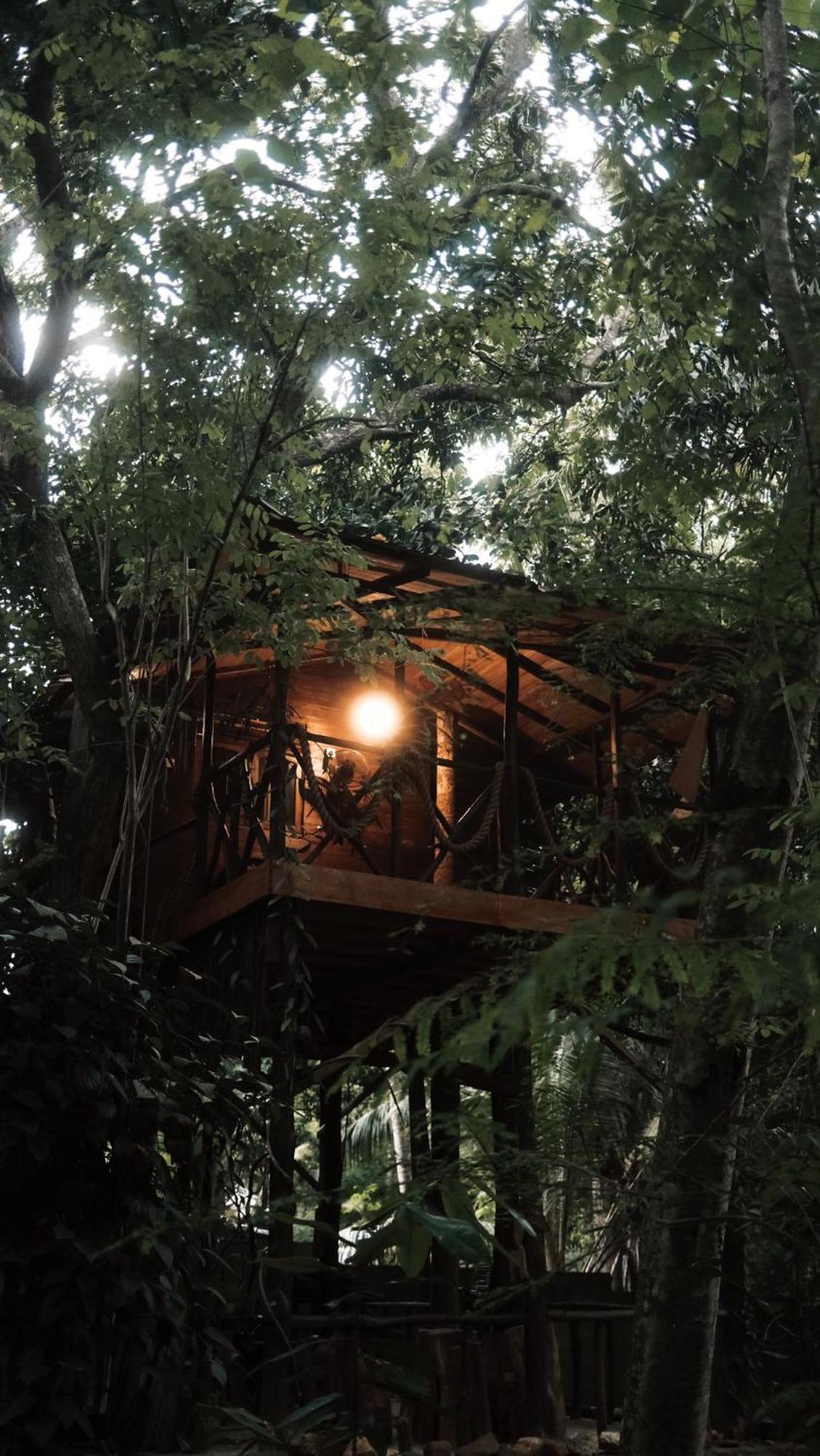 Green Park Safari House & Eco Tree House อุดาวาลาเว ภายนอก รูปภาพ