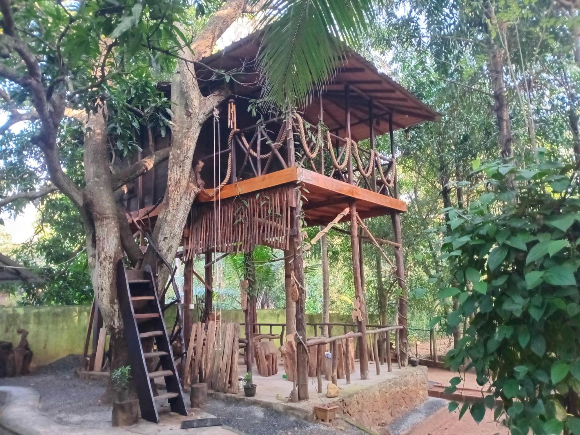 Green Park Safari House & Eco Tree House อุดาวาลาเว ภายนอก รูปภาพ