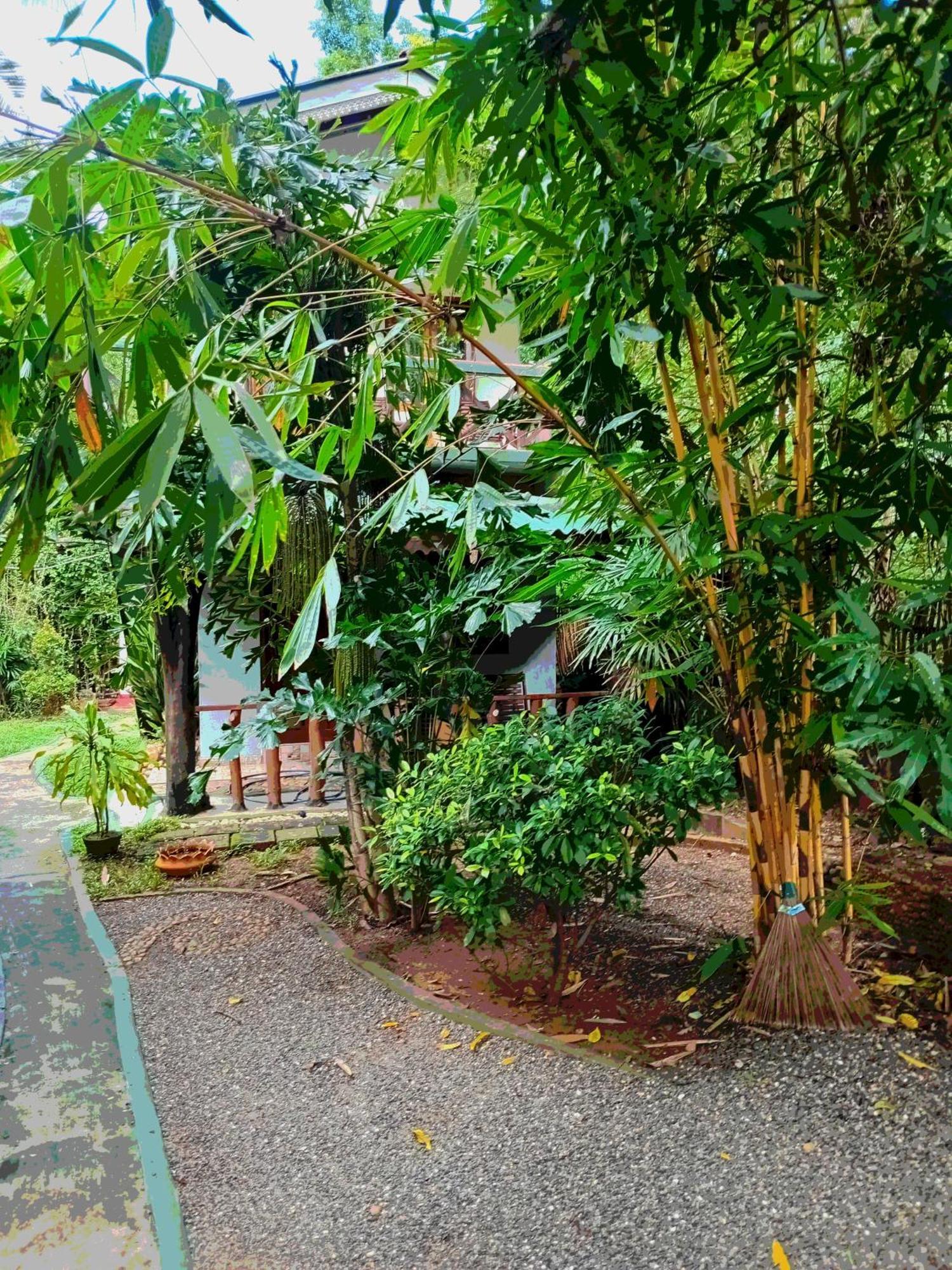 Green Park Safari House & Eco Tree House อุดาวาลาเว ภายนอก รูปภาพ