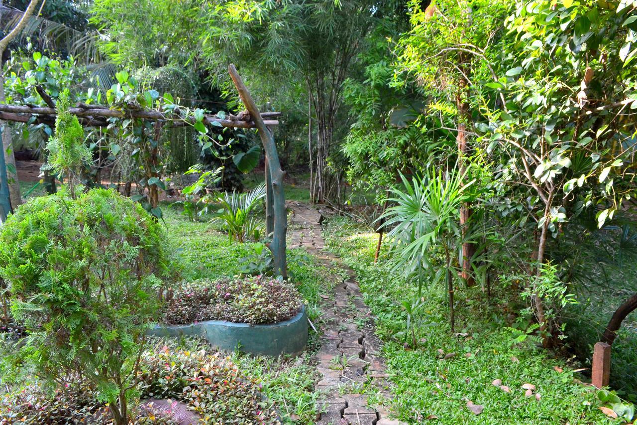 Green Park Safari House & Eco Tree House อุดาวาลาเว ภายนอก รูปภาพ