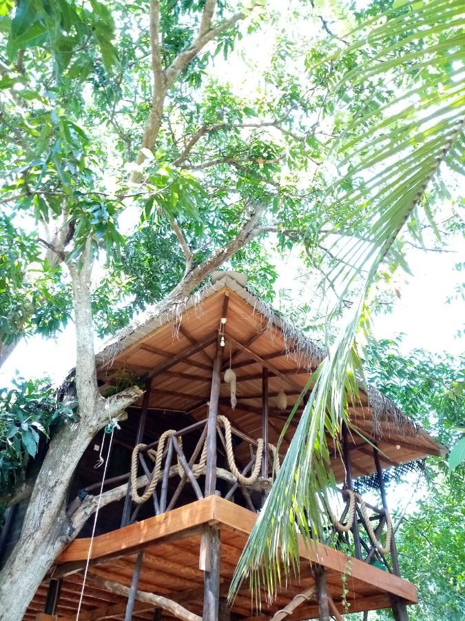 Green Park Safari House & Eco Tree House อุดาวาลาเว ภายนอก รูปภาพ