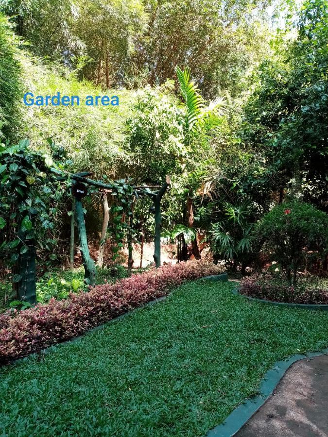 Green Park Safari House & Eco Tree House อุดาวาลาเว ภายนอก รูปภาพ
